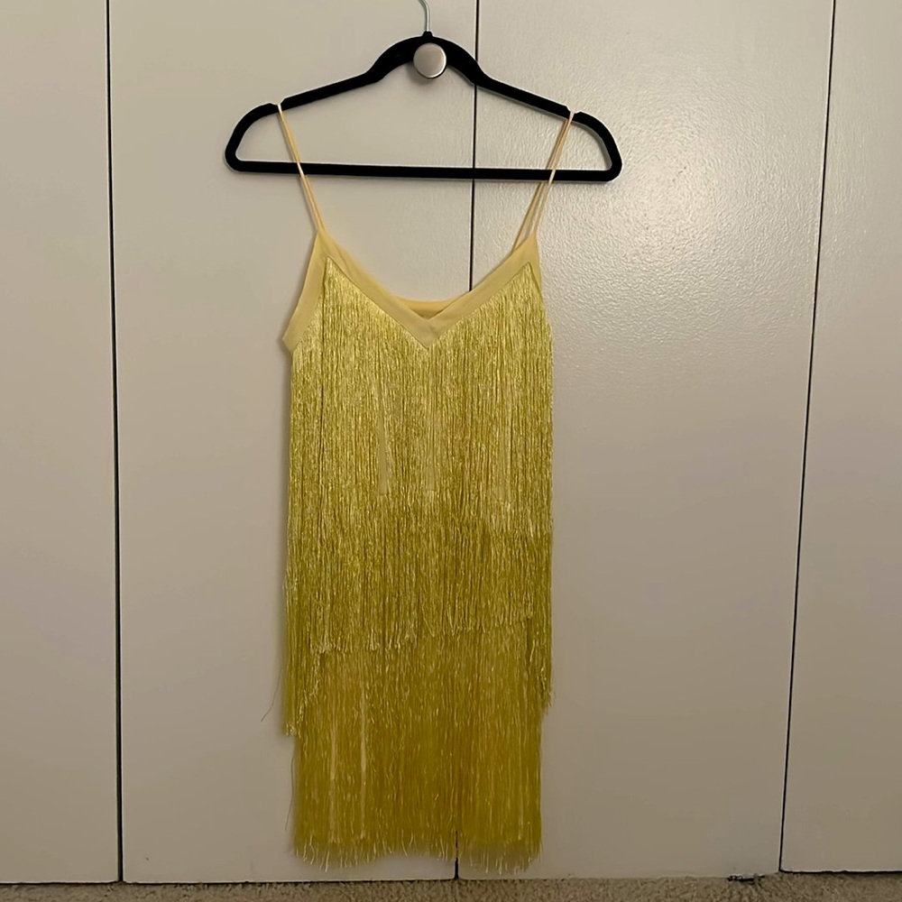 Zara Cabaret Style Dress